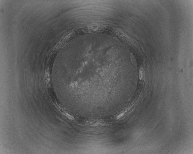 X0000071961011200607141429