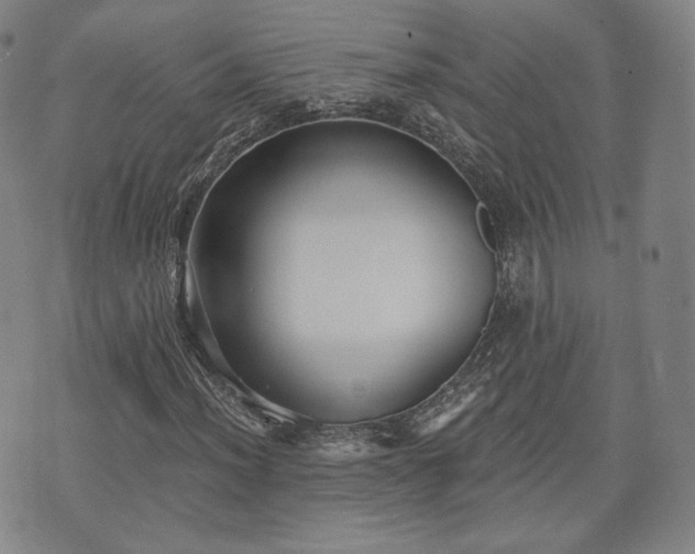 X0000071961012200607141429