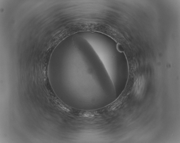 X0000071961013200607141429