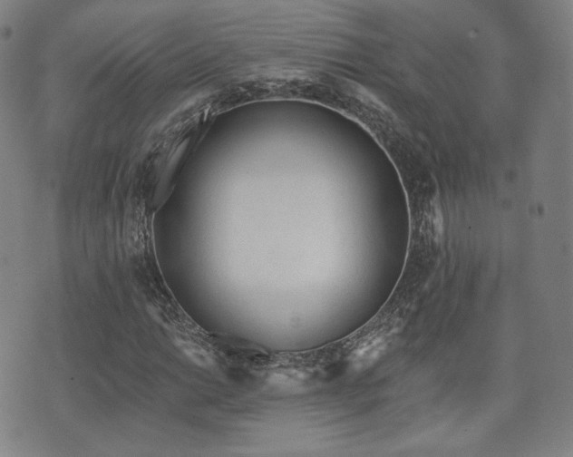 X0000071961014200607141429