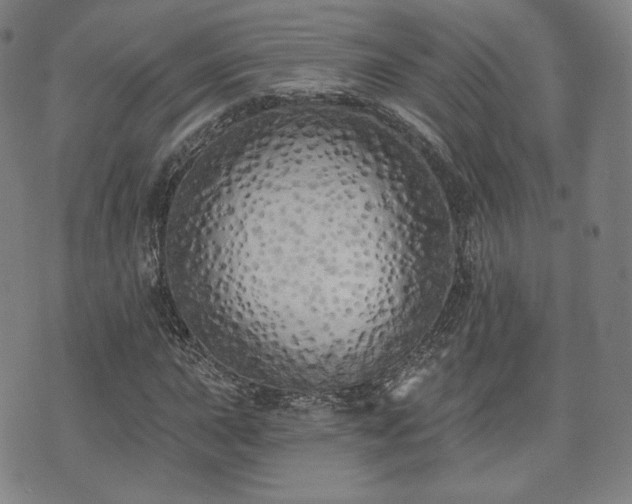 X0000071961015200607141429