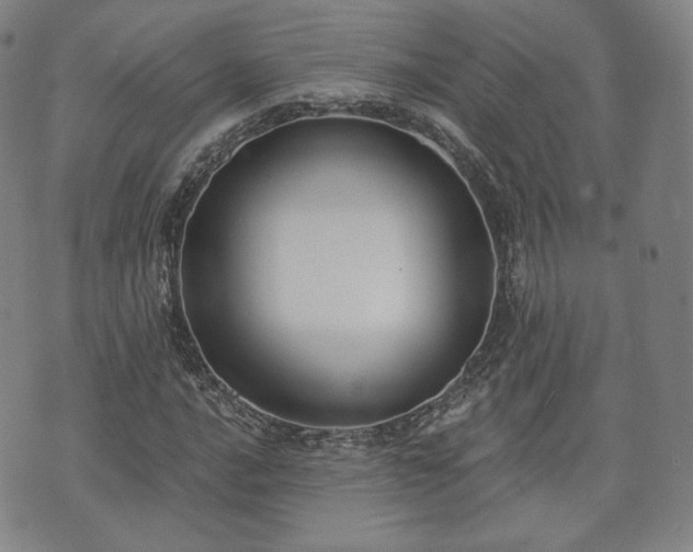 X0000071961016200607141429