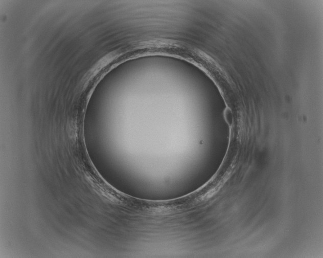 X0000071961017200607141429