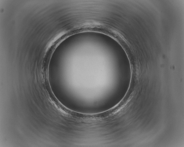 X0000071961018200607141429