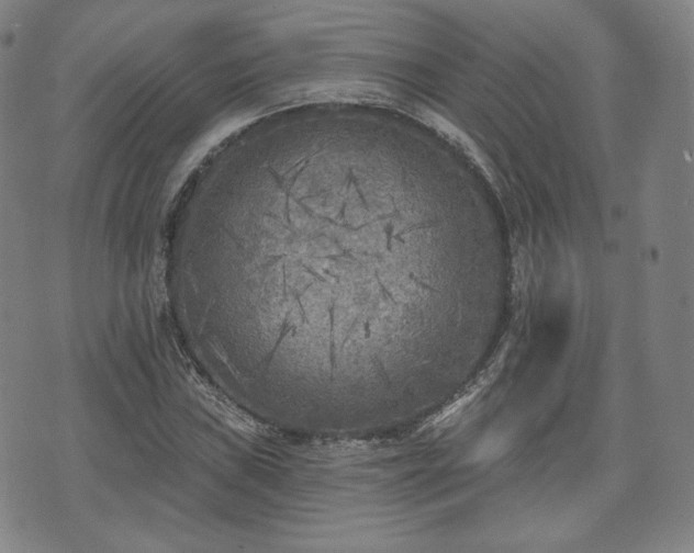 X0000071961019200607141429