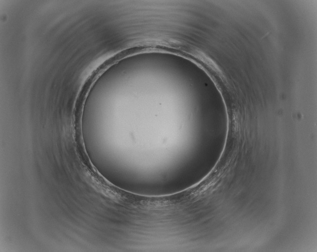 X0000071961020200607141429