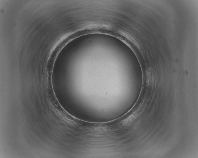 X0000071961021200607141429