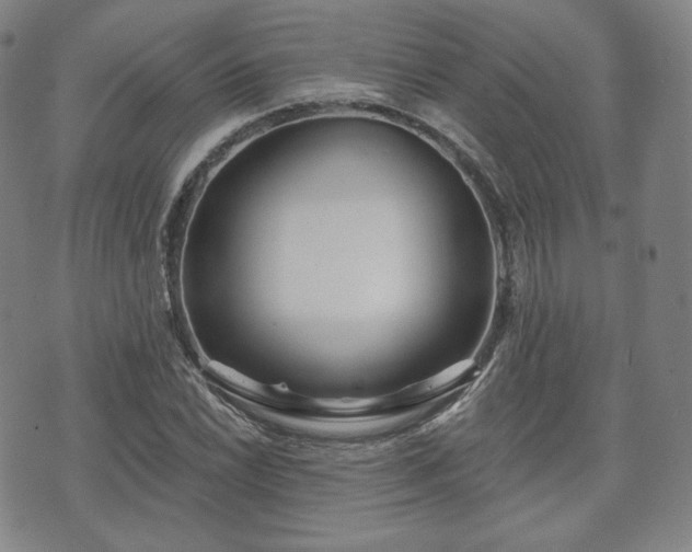 X0000071961022200607141429