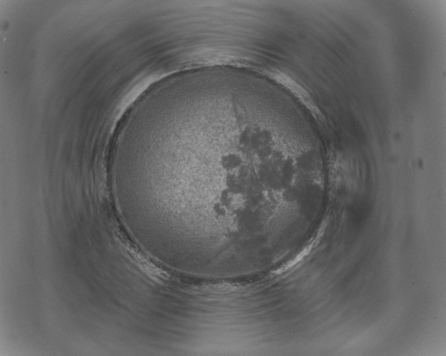 X0000071961023200607141429