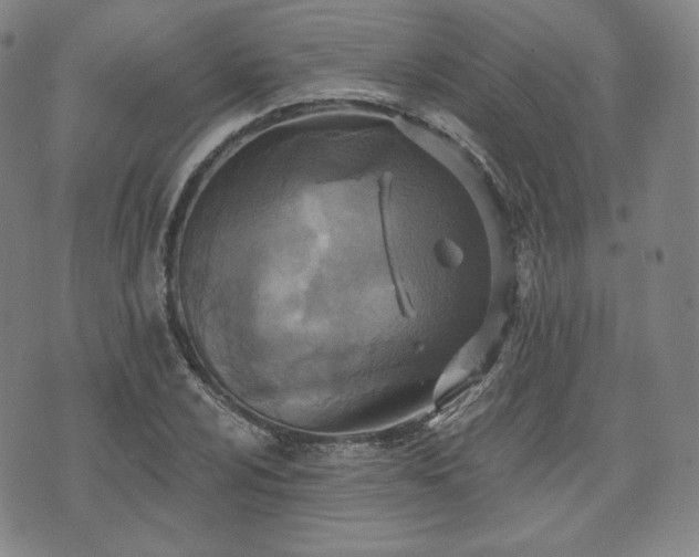 X0000071961024200607141429