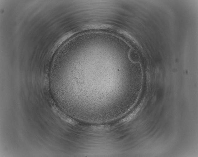 X0000071961025200607141429