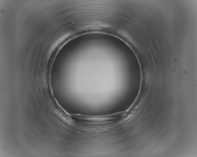 X0000071961026200607141429