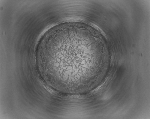 X0000071961027200607141429