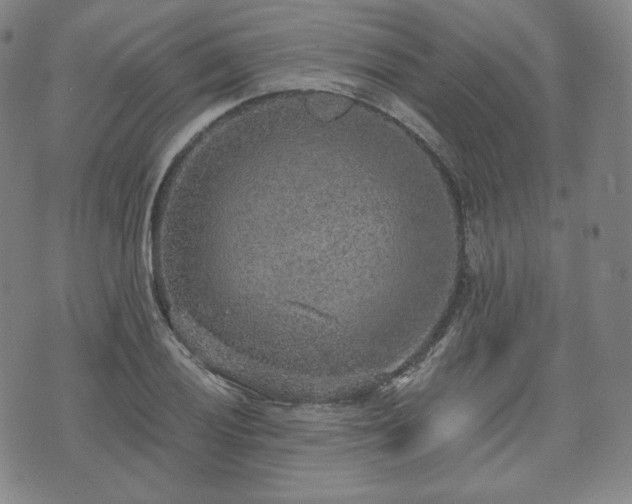 X0000071961028200607141429