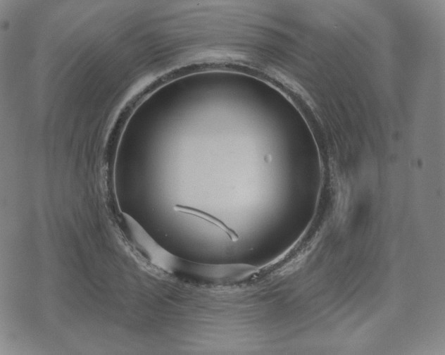 X0000071961029200607141429