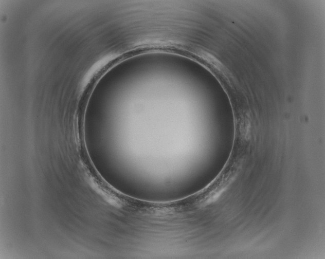 X0000071961030200607141429