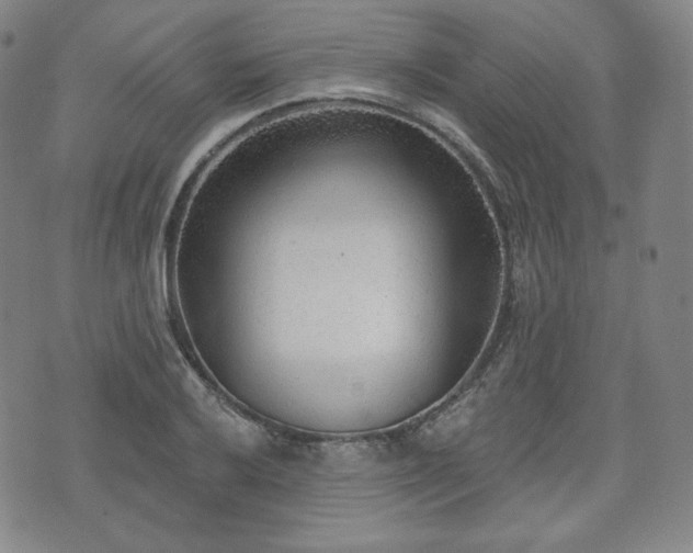 X0000071961032200607141429