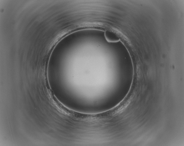 X0000071961033200607141429