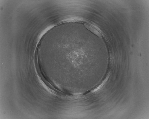 X0000071961034200607141429