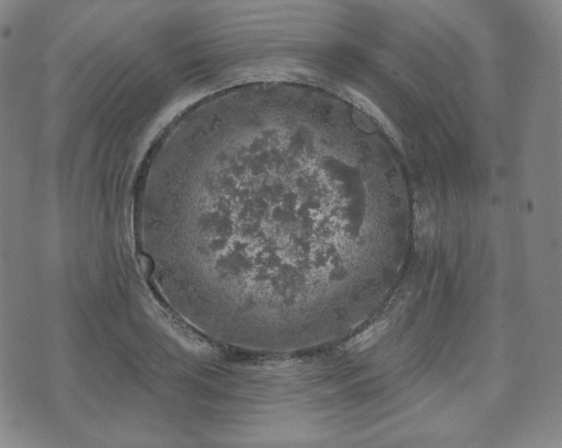 X0000071961035200607141429