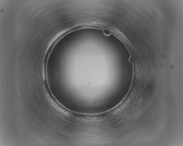 X0000071961036200607141429