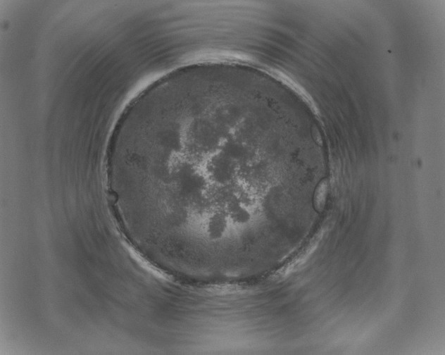 X0000071961037200607141429