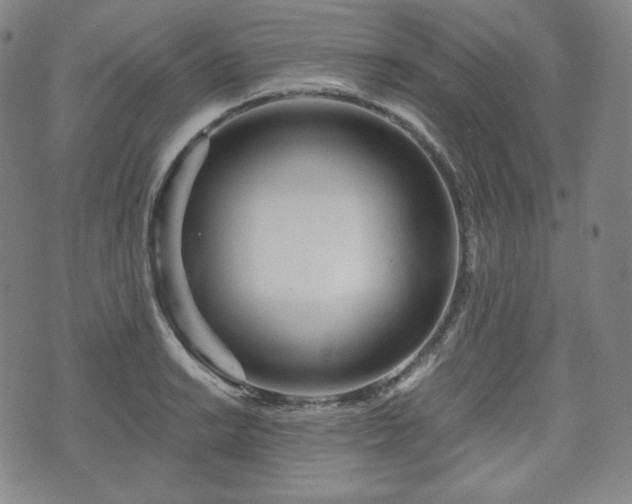 X0000071961038200607141429