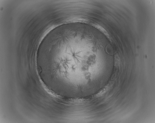 X0000071961039200607141429