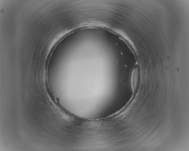 X0000071961040200607141429