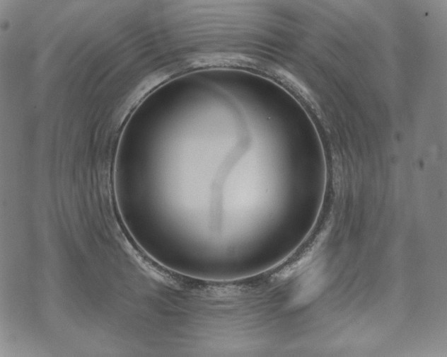 X0000071961041200607141429