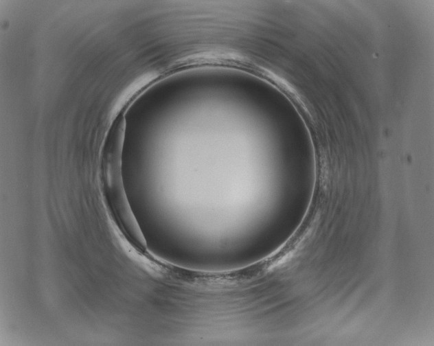 X0000071961042200607141429