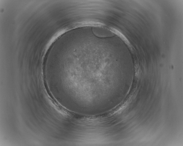 X0000071961043200607141429