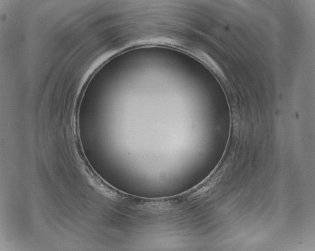 X0000071961044200607141429