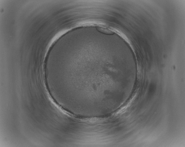 X0000071961045200607141429