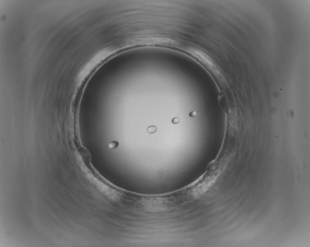 X0000071961046200607141429