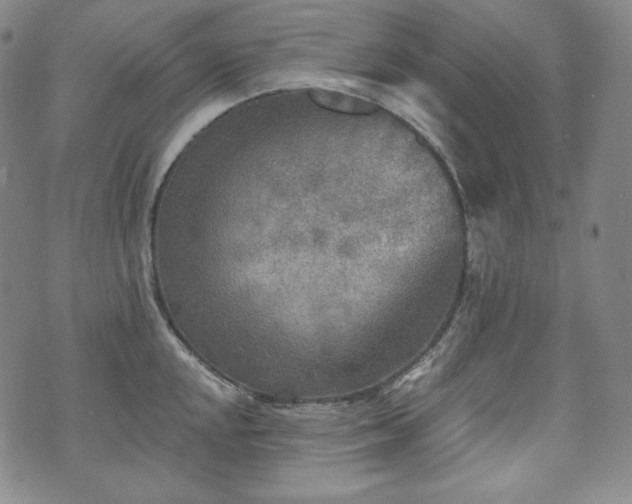 X0000071961048200607141429