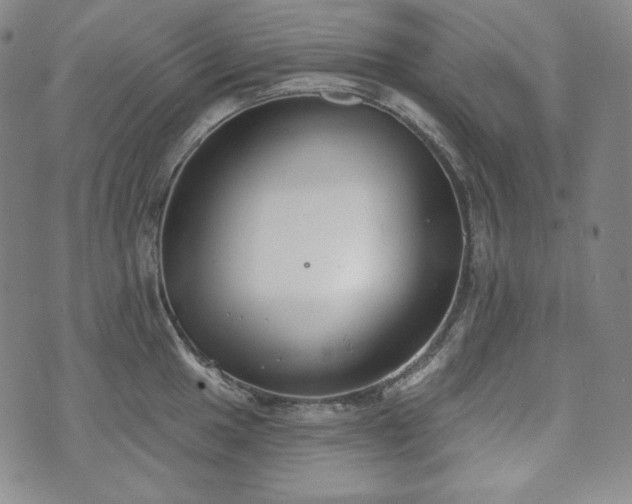 X0000071961049200607141429