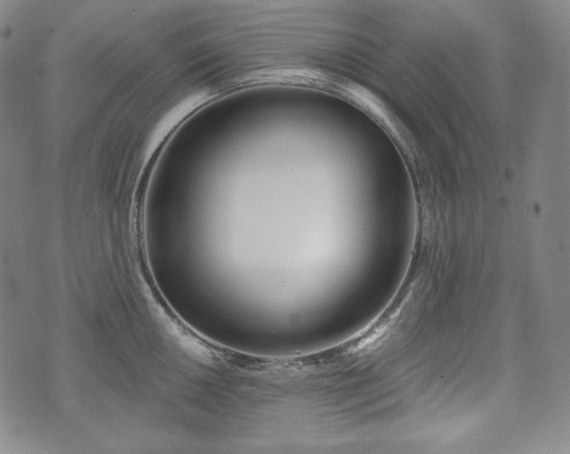 X0000071961050200607141429