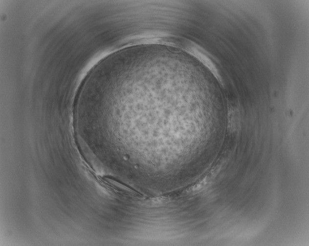 X0000071961051200607141429