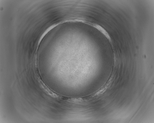 X0000071961052200607141429