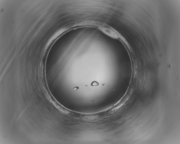 X0000071961053200607141429