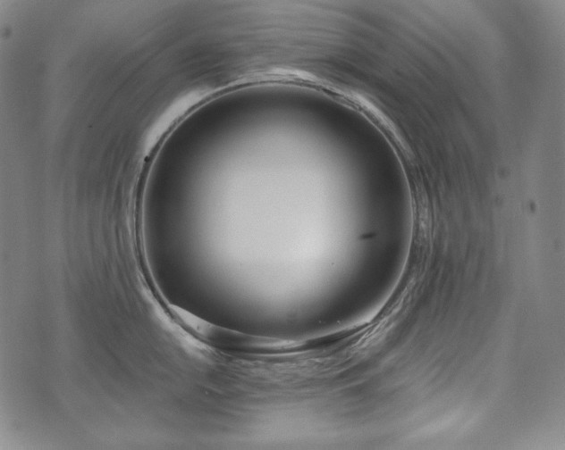 X0000071961054200607141429