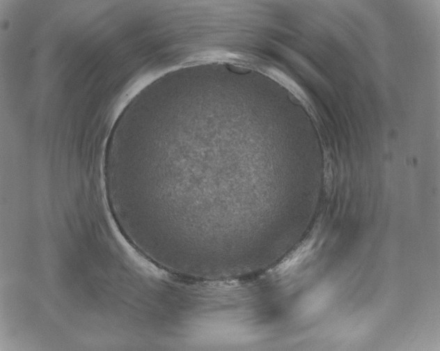 X0000071961055200607141429