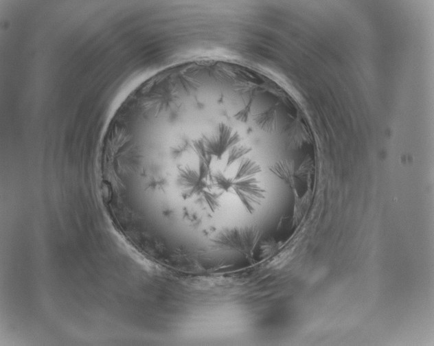 X0000071961056200607141429