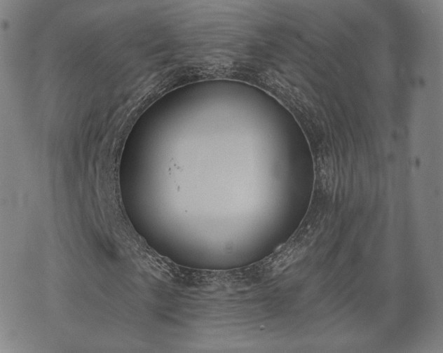 X0000071961057200607141429