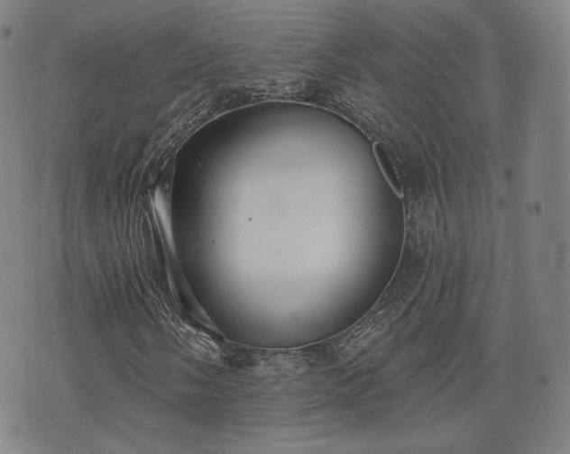 X0000071961058200607141429