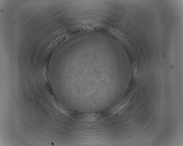 X0000071961060200607141429