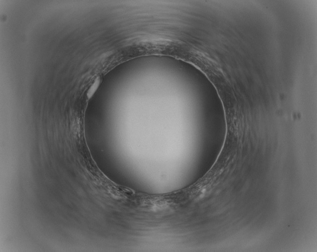 X0000071961061200607141429