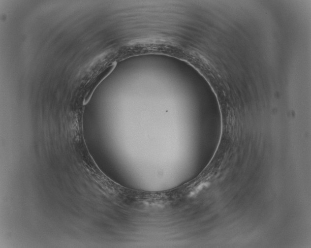 X0000071961062200607141429