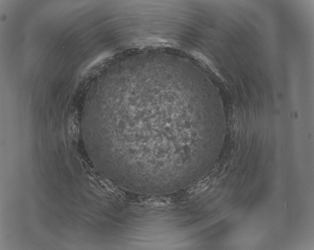 X0000071961063200607141429